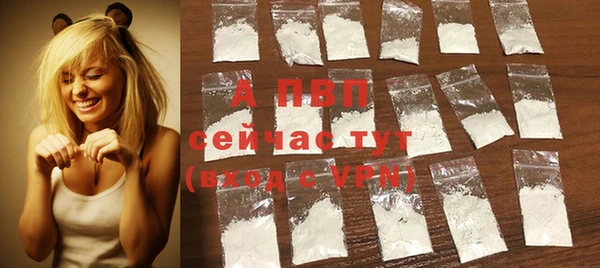 молекула духа Верхний Тагил