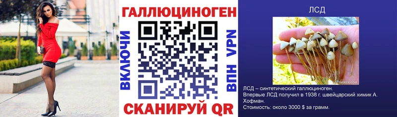 Галлюциногенные грибы Cubensis купить Гдов